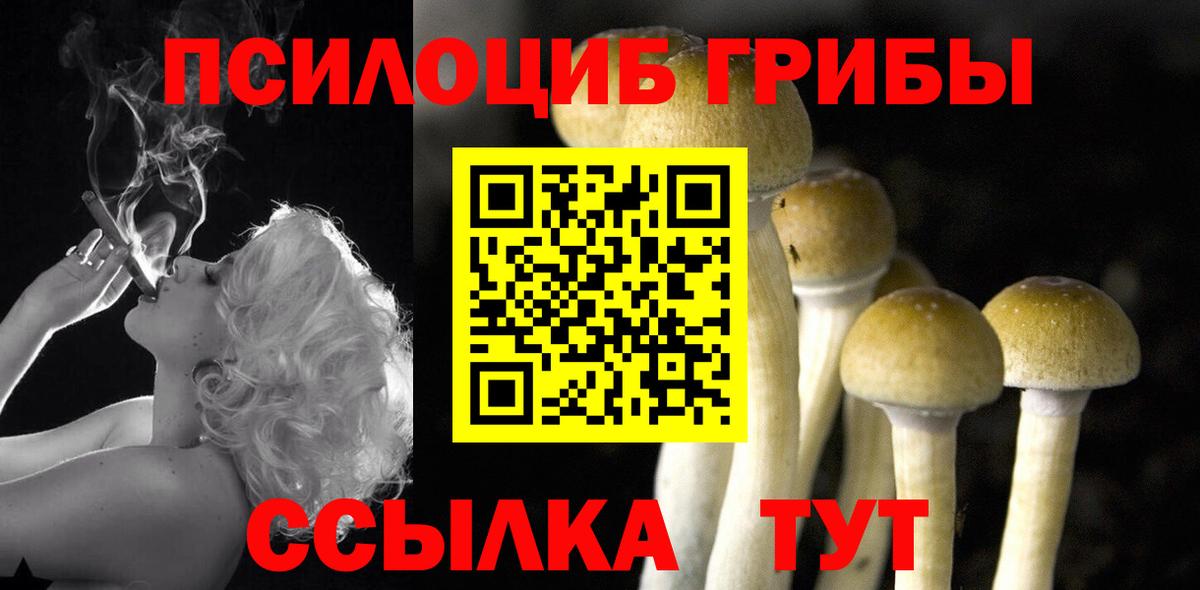 Псилоцибиновые грибы GOLDEN TEACHER Ялуторовск
